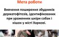 Распространение и видовой состав возбудителей дерматомикозов мелких домашних животных в. Харькове