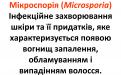 Распространение и видовой состав возбудителей дерматомикозов мелких домашних животных в. Харькове