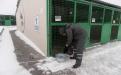 Репортаж. Утро в Приюте Центра обращения с животными