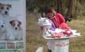 В поселке Жуковского прошел праздник  "Happy Dog"