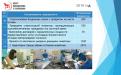 Отчет о результатах деятельности КП "Центр обращения с животными" за 2018 год