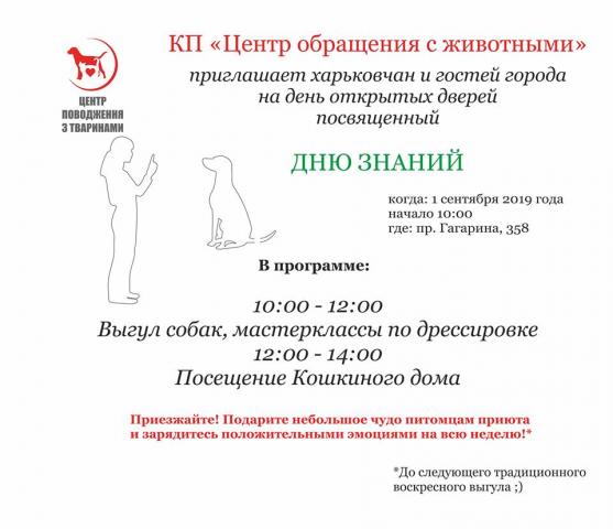 В КП "Центр обращения с животными" состоится выгул, посвященный Дню знаний