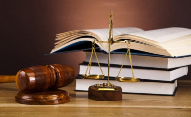 Законодательство разных стран в сфере обращения с бездомными животными